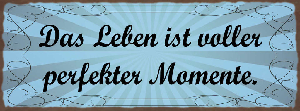 Schild Das Leben Ist Voller Perfekter Momente Erfahrungen 27x10 Blech od.Holz