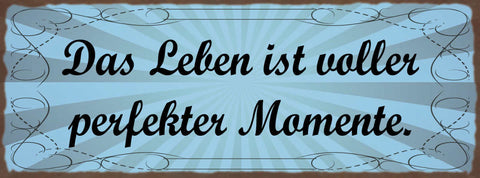 Schild Das Leben Ist Voller Perfekter Momente Erfahrungen 27x10 Blech od.Holz