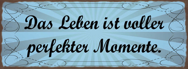 Schild Das Leben Ist Voller Perfekter Momente Erfahrungen 27x10 Blech od.Holz