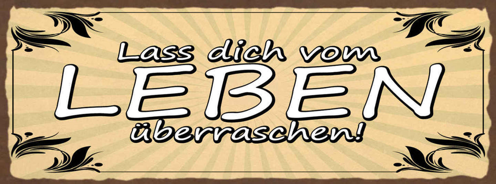 Schild Lass Dich Vom Leben Überraschen Kein Plan Offenheit 27x10 Blech od.Holz