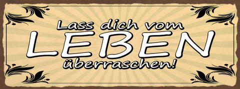 Schild Lass Dich Vom Leben Überraschen Kein Plan Offenheit 27x10 Blech od.Holz