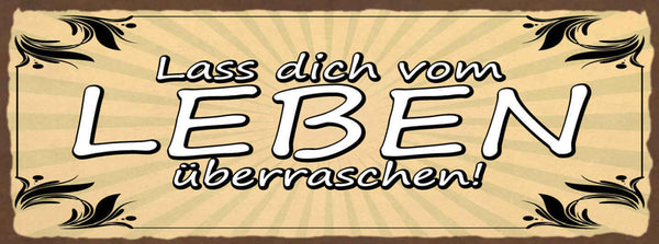 Schild Lass Dich Vom Leben Überraschen Kein Plan Offenheit 27x10 Blech od.Holz