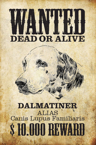 Schild Spruch Wanted Dead or Alive Gesucht Tot Lebend Dalmatiner Hund JW