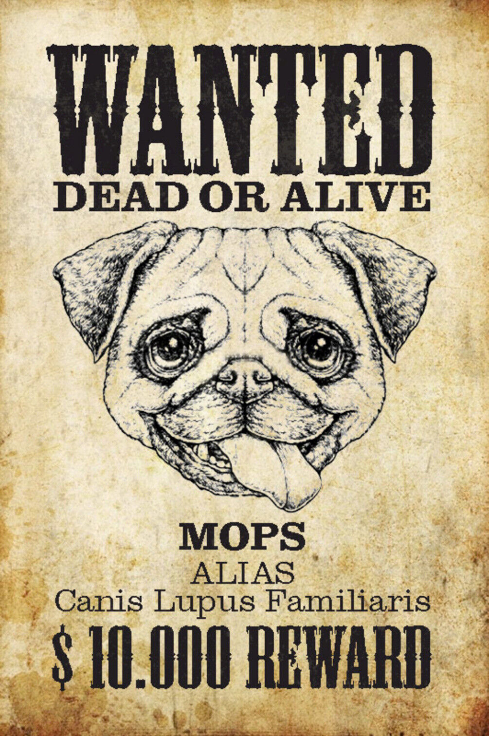 Schild Spruch Wanted Dead or Alive Gesucht Tot Lebend Mops Hund JW