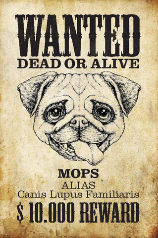 Schild Spruch Wanted Dead or Alive Gesucht Tot Lebend Mops Hund JW