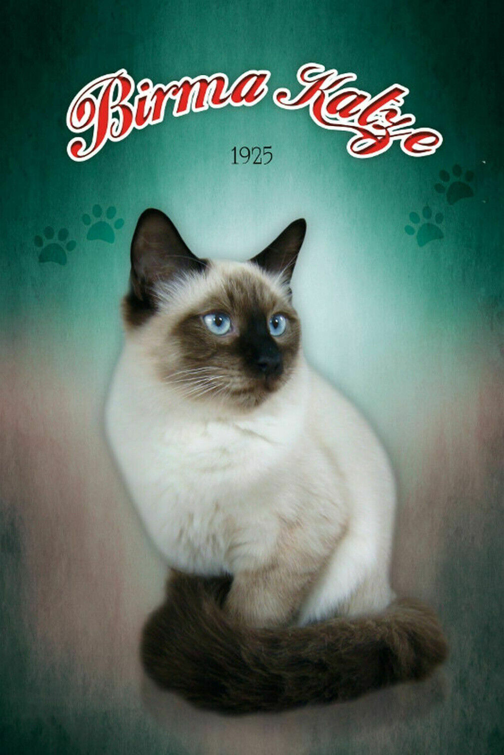 Schild Spruch Birma Katze 1925 JW