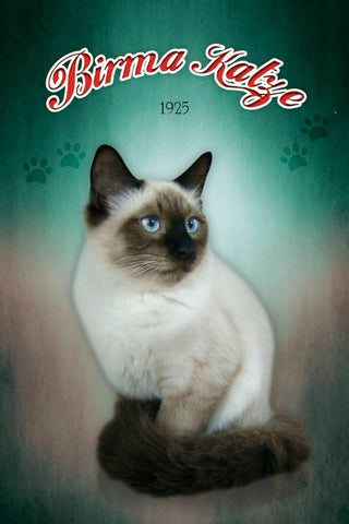 Schild Spruch Birma Katze 1925 JW