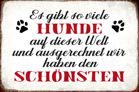 Schild Spruch Gibt so viele Hunde ausgerechnet wir haben den schönsten JW