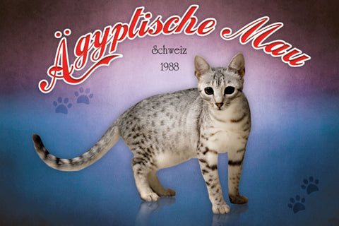 Schild Spruch Ägyptische Mau Katze Schweiz 1988 JW