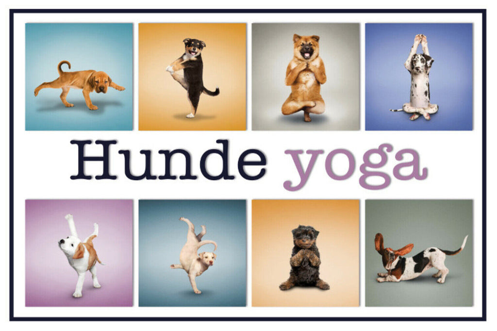Schild Spruch Hunde Yoga JW