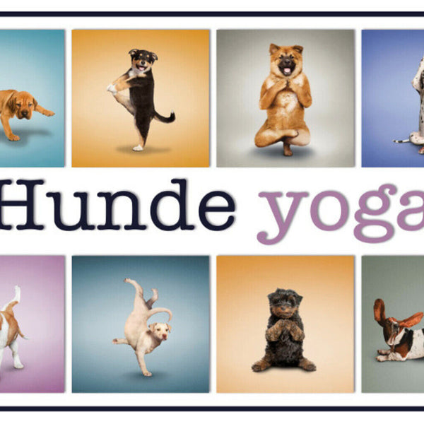 Schild Spruch Hunde Yoga JW