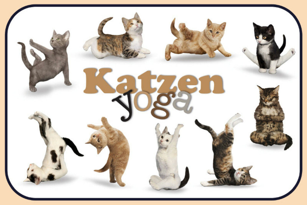 Schild Spruch Katzen Yoga JW