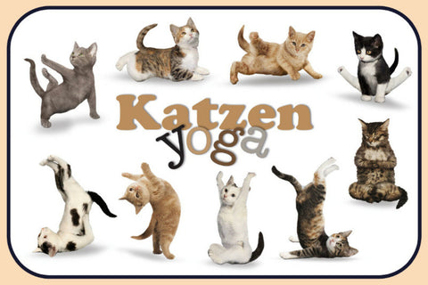 Schild Spruch Katzen Yoga JW