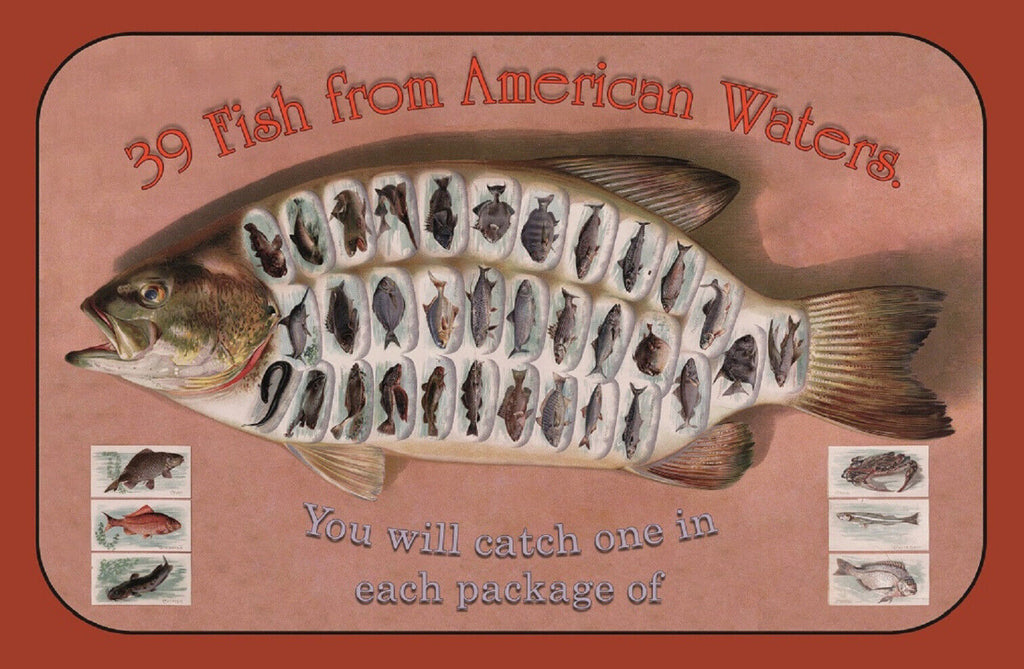 Schild Spruch 39 Fish from American Waters 39 Amerikanische Fischarten JW