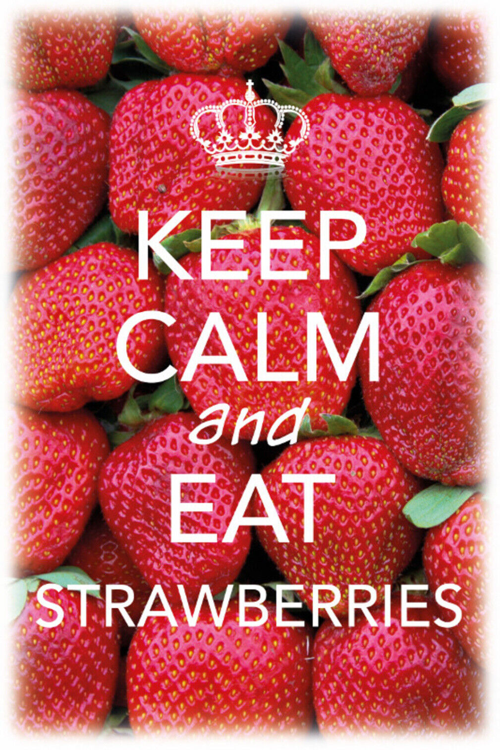 Schild Spruch Keep Calm and eat strawberries Ruhig bleiben Erdbeeren essen JW
