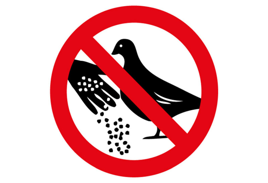 Schild Spruch Tauben füttern verboten Warnung JW