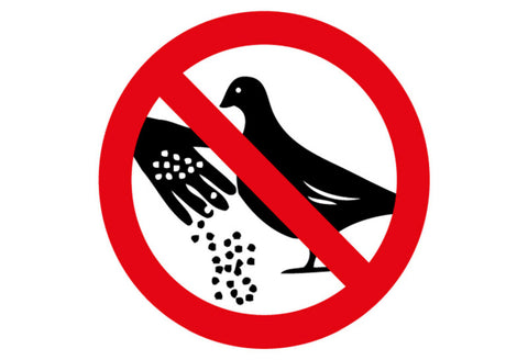 Schild Spruch Tauben füttern verboten Warnung JW