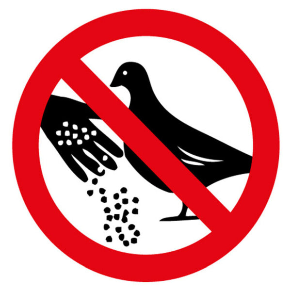 Schild Spruch Tauben füttern verboten Warnung JW