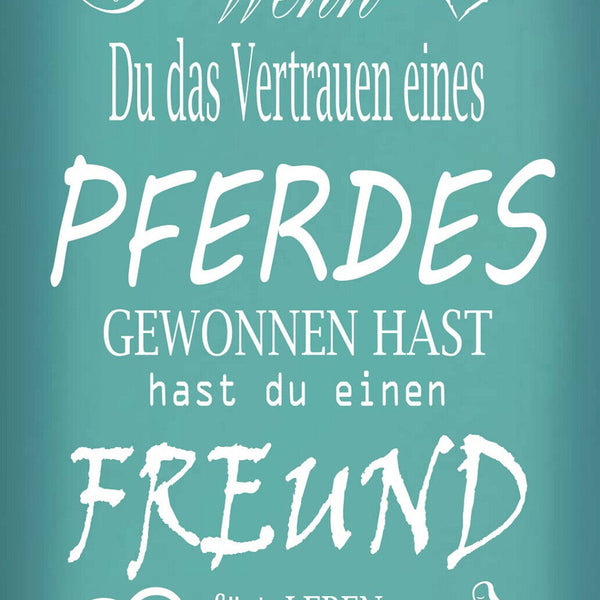 Schild Spruch Wenn du Vertrauen eines Pferdes gewonnen hast Freund fürs Leben JW