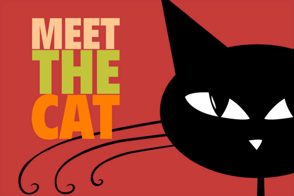 Schild Spruch Meet the cat Triff die Katze Comic JW