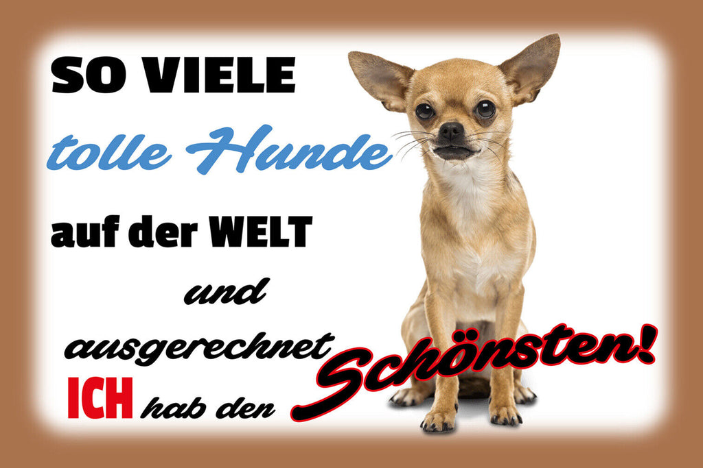 Schild Spruch So viele tolle Hunde auf Welt Ich hab den schönsten Chihuahua  JW