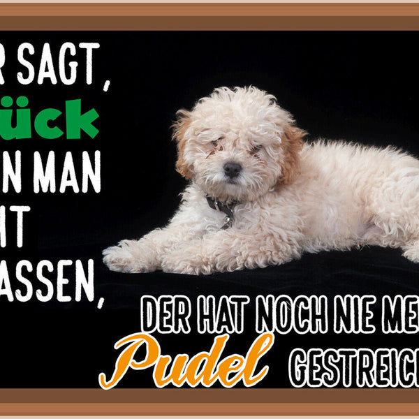 Schild Spruch Wer sagt Glück nicht anfassen hat nie Pudel gestreichelt JW