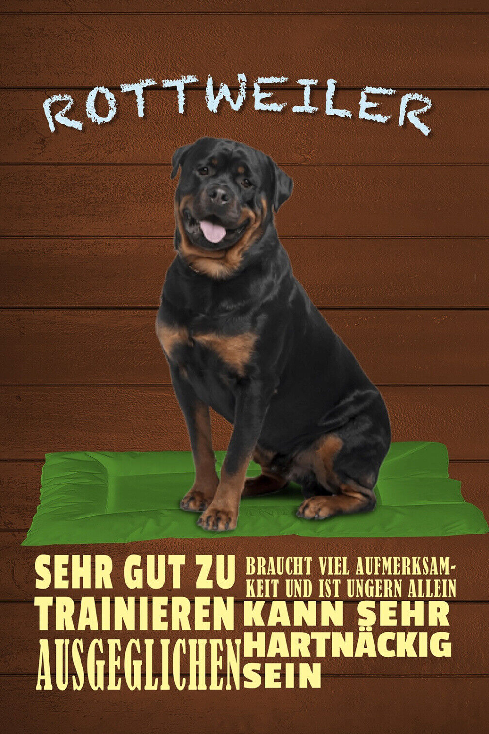 Schild Spruch Rottweiler Steckbrief Ausgeglichen Ungern Allein Hund JW