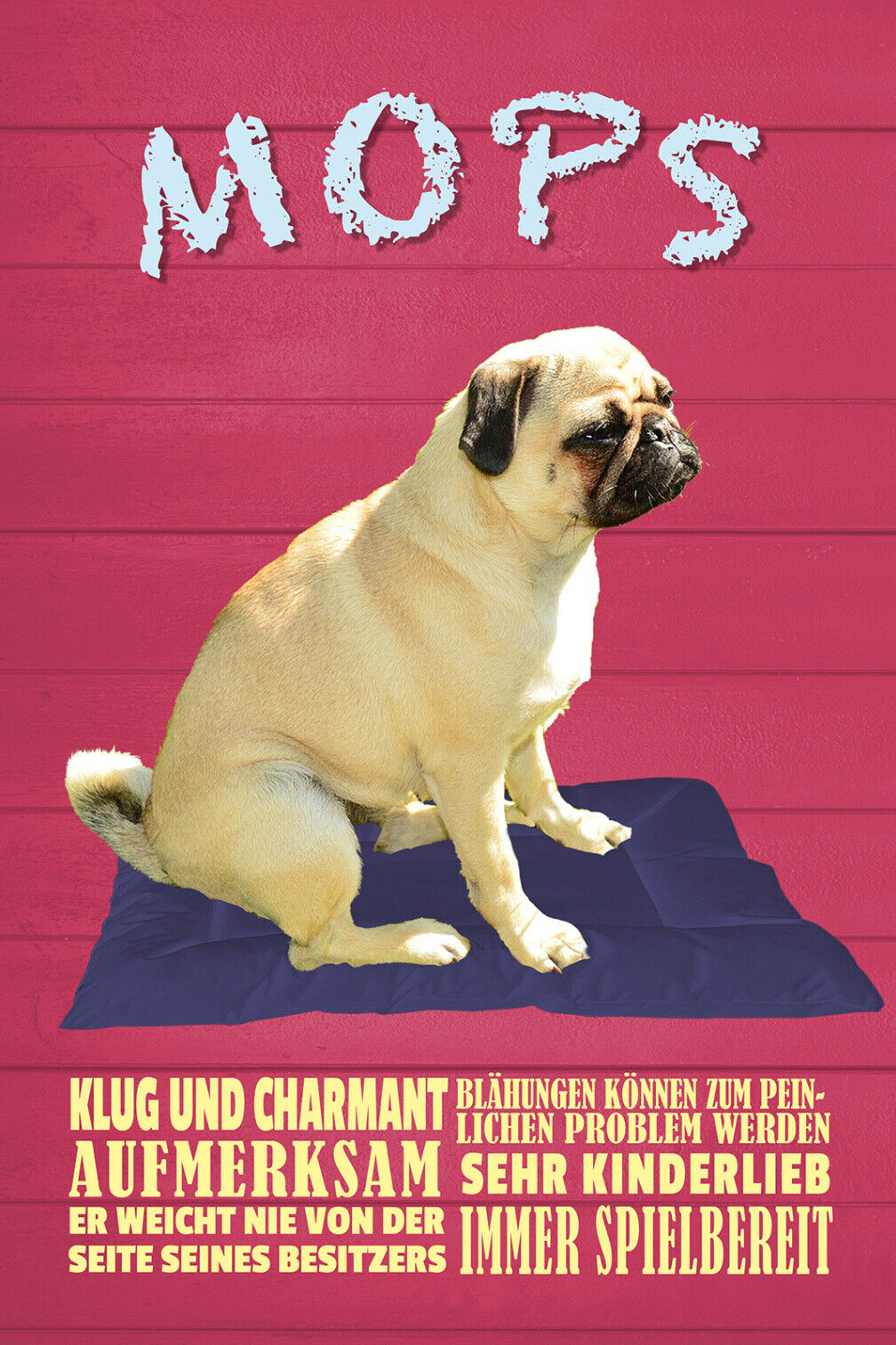 Schild Spruch Mops Steckbrief Klug und Charmant Aufmerksam Hund JW