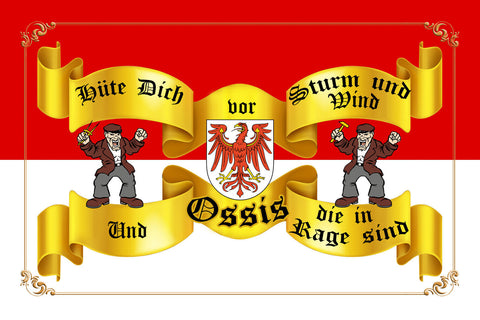 Schild Spruch Hüte dich vor Strum und Wind und Ossis die in Rage sind DDR JW