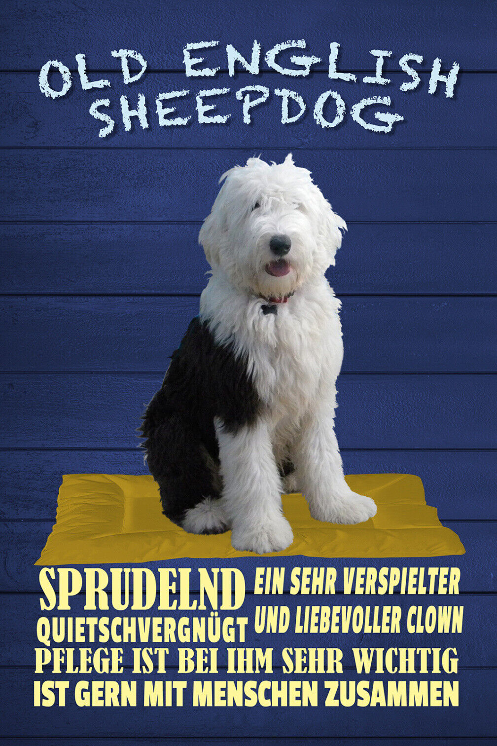 Schild Spruch Old English Sheepdog Steckbrief Sprudelnd Quietschvergnügt Hund JW