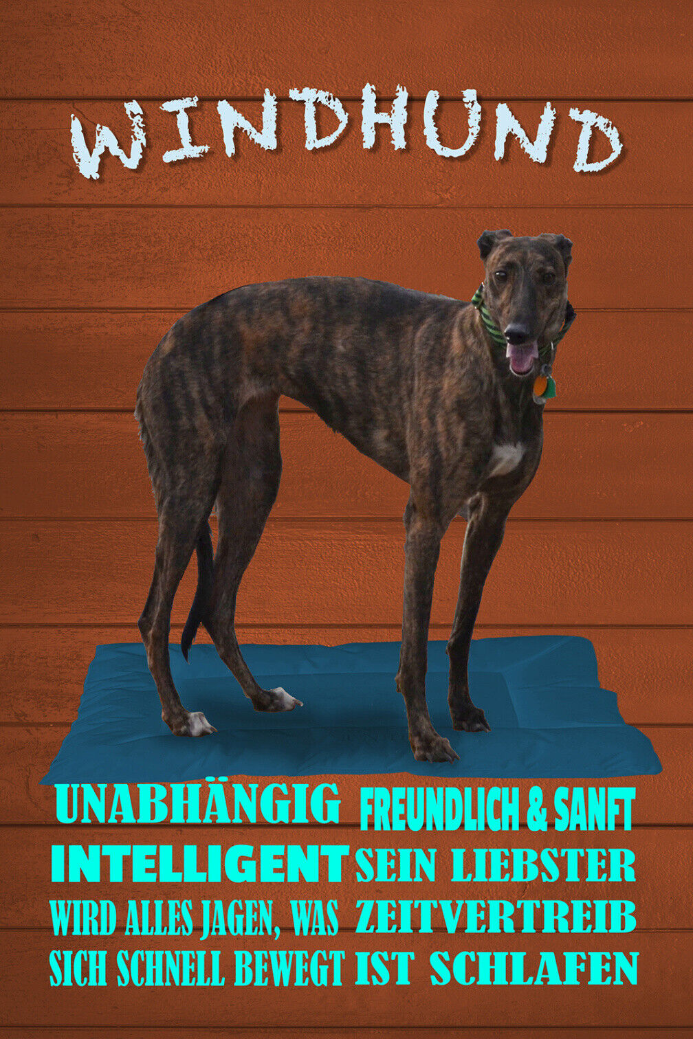 Schild Spruch Windhund Steckbrief Unabhängig Intelligent Hund JW