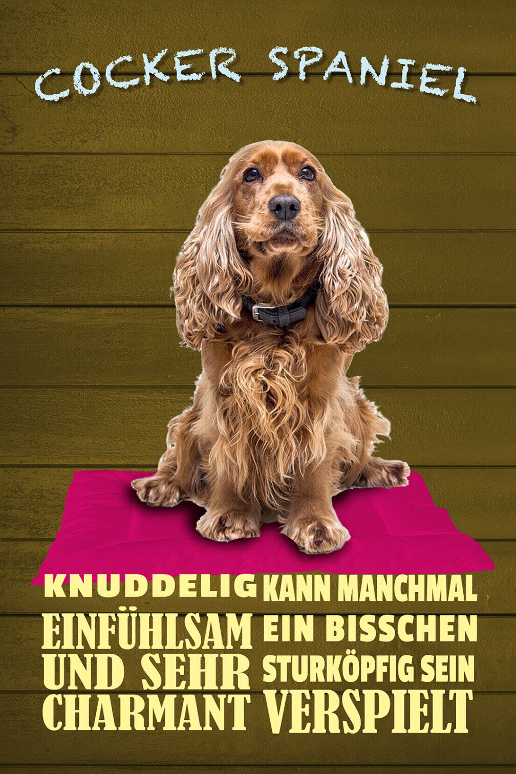 Schild Spruch Cocker Spaniel Steckbrief Knuddelig Verspielt Hund JW