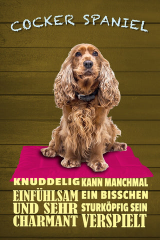 Schild Spruch Cocker Spaniel Steckbrief Knuddelig Verspielt Hund JW