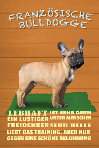 Schild Spruch Französische Bulldogge Steckbrief Lebhaft Lustiger Hund JW