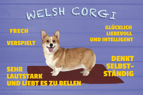 Schild Spruch Welsh Corgi Frech Verspielt Glücklich Hund JW