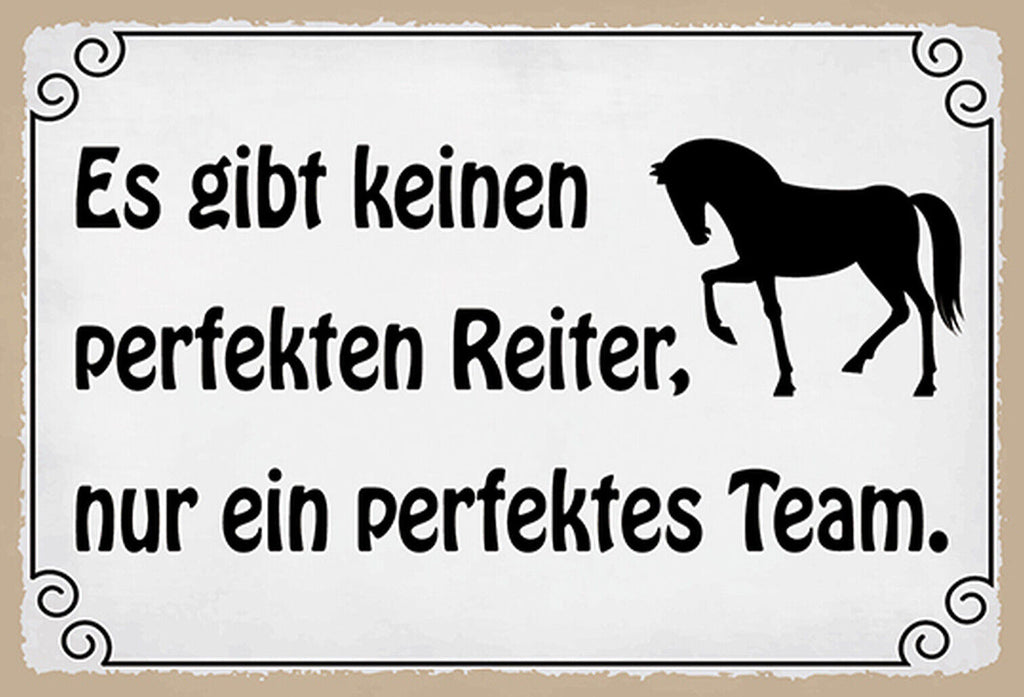Schild Spruch Es gibt keinen perfekten Reiter nur ein perfektes Team Pferd  JW