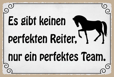 Schild Spruch Es gibt keinen perfekten Reiter nur ein perfektes Team Pferd  JW