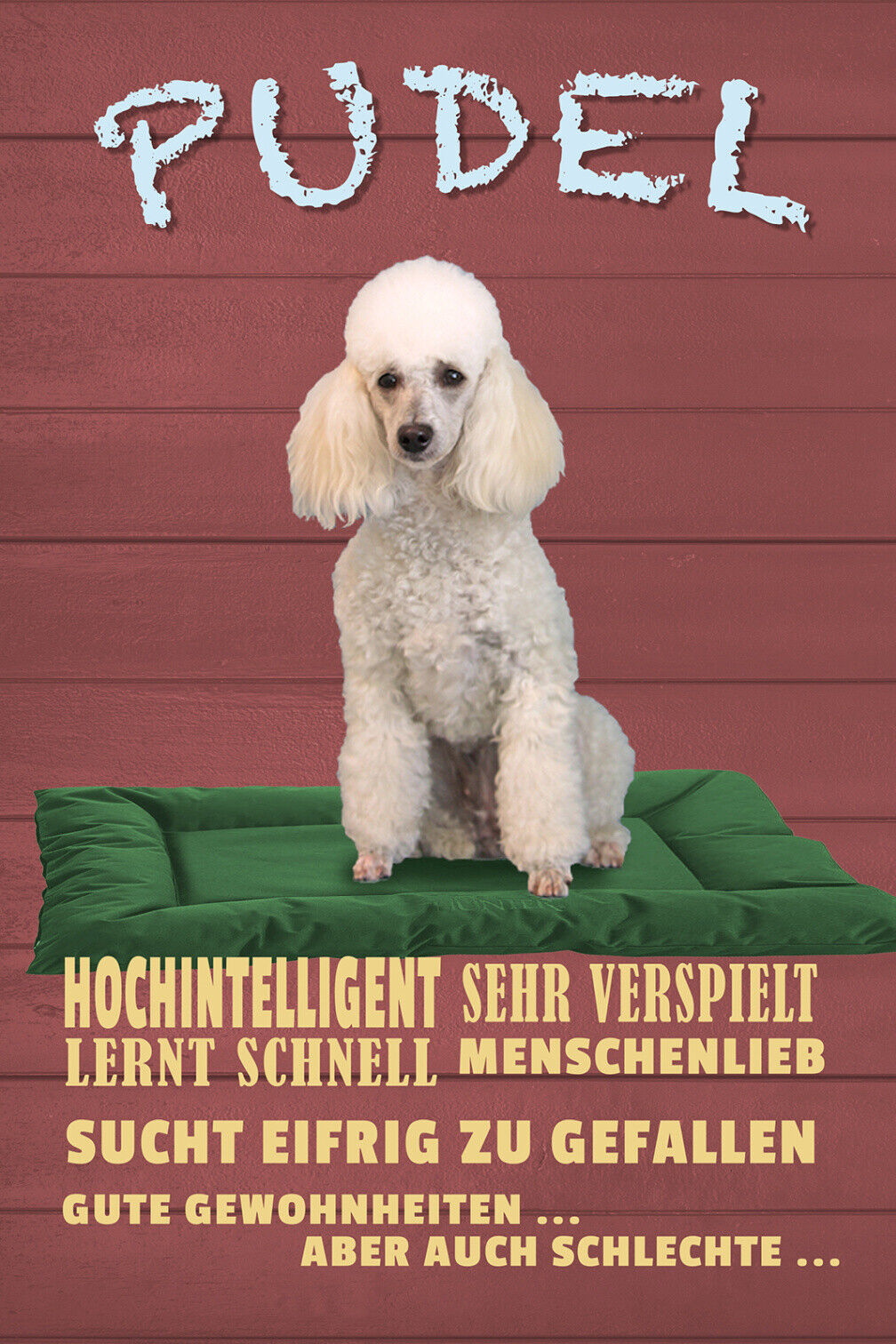 Schild Spruch Pudel Steckbrief Hochintelligent sehr verspielt Hund JW