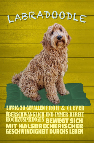 Schild Spruch Labradoodle Steckbrief Überschwenglich Clever Hund JW