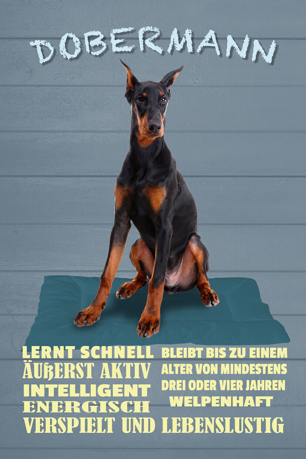 Schild Spruch Dobermann Steckbrief Intelligent Verspielt Energisch Hund JW