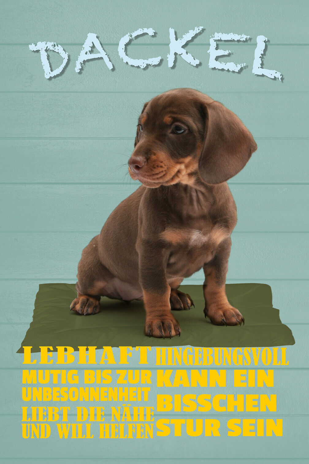 Schild Spruch Dackel Steckbrief Lebhaft Hingebungsvoll Mutig Hund JW