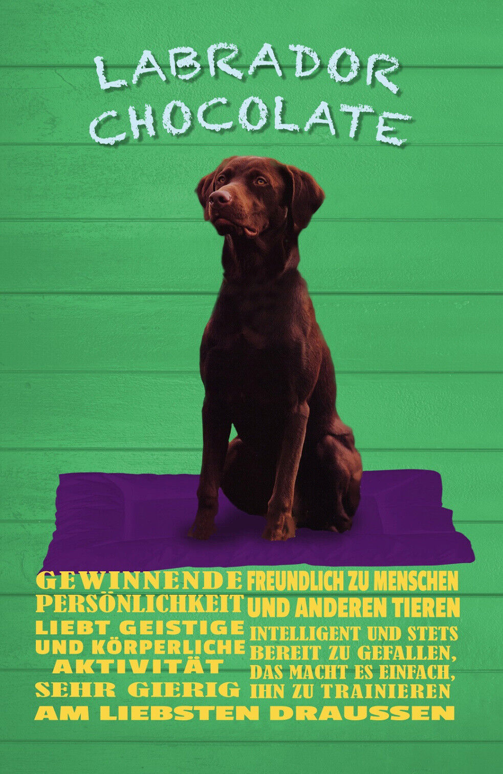 Schild Spruch Labrador Chocolate Persönlickeit Sehr gierig Gewinnend Hund JW