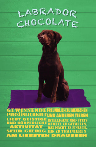 Schild Spruch Labrador Chocolate Persönlickeit Sehr gierig Gewinnend Hund JW