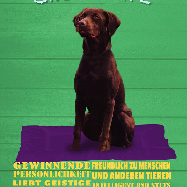 Schild Spruch Labrador Chocolate Persönlickeit Sehr gierig Gewinnend Hund JW