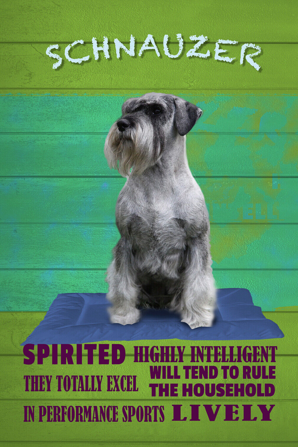 Schild Spruch Schnauzer Steckbrief Highly Intelligent Hochintelligent Hund JW