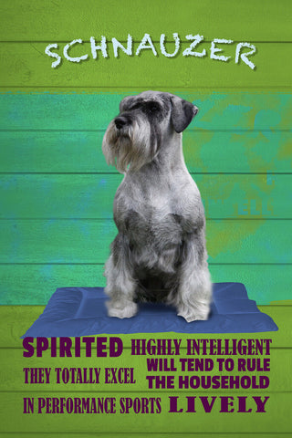 Schild Spruch Schnauzer Steckbrief Highly Intelligent Hochintelligent Hund JW