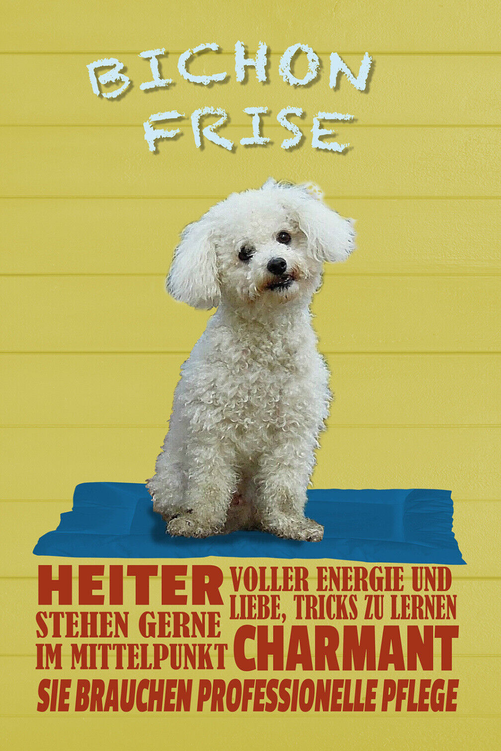 Schild Spruch Bichon Frise Steckbrief Heiter Charmant Hund JW