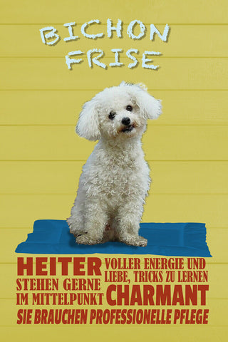 Schild Spruch Bichon Frise Steckbrief Heiter Charmant Hund JW