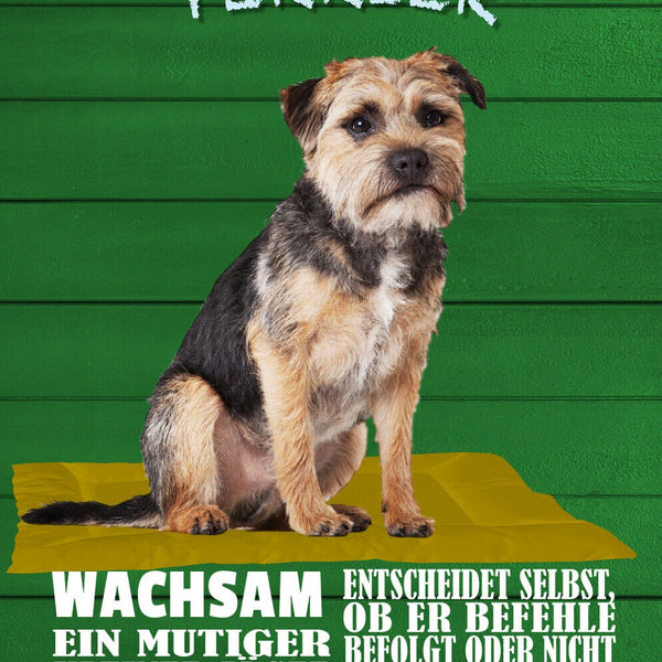 Schild Spruch Border Terrier Steckbrief Wachsam Willensstark Mutig Hung JW