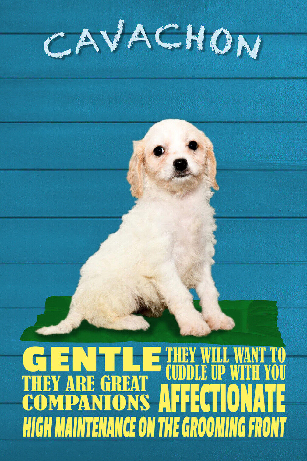 Schild Spruch Cacachon Steckbrief Gentle Sanft Hund JW